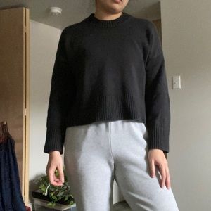 Everlane Heavy Cotton Knit Sweater